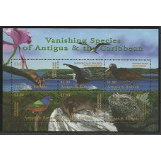 Antigua & Barbuda - Fauna 