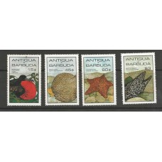 Antigua & Barbuda - Fauna Marinha (FAU-AB028)