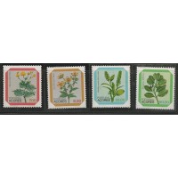 Açores - 334/7 - Plantas Medicinais