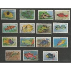 Bahamas - Peixes(FAU-BAH17)