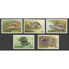 Barbados - Fauna Marinha