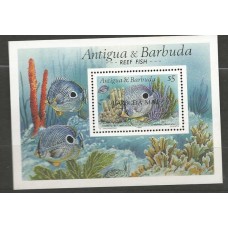 Barbuda - Peixe(FAU-BBU18)