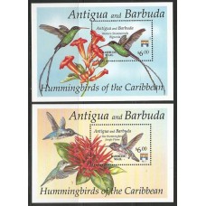 Barbuda - Aves/Beija-Flor