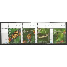 Bermuda - Insetos/Borboletas(FAU-BER01)