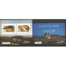 Costa Rica - Fauna/Caracol /Parque Nacional Chirripó