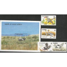 Gambia - Aves da África