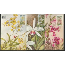 MAX-068/70 - Orquídeas - BRAPEX V MAX-068/70 - Orquídeas - BRAPEX V