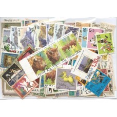 250 Selos POLÔNIA(PAC80)