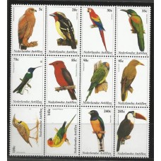 Antilhas Holandesas - Aves