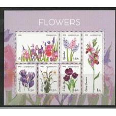 Azerbaijan - Flores Azerbaijan - Flores