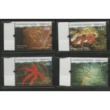 Açores - 553/6 - Invertebrados Marinhos