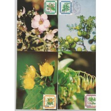 Açores - 4 Máximos Flores Regionais Açores - 4 Máximos Flores Regionais