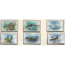 Dominica - Fauna Marinha(PROMO)