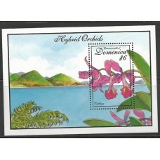 Dominica - Orquídea Híbrida Dominica - Orquídea Híbrida