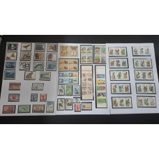 USA - Temática FAUNA