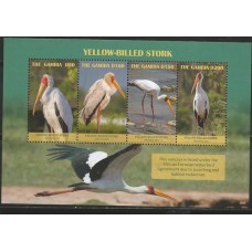 Gambia - Aves/Yellow-Billed Stork