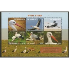 Gambia - Aves/White Stork