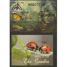 Gâmbia - Insetos de Gambia