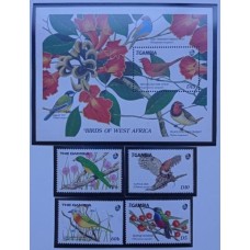 Gambia - Aves(FAU-GAM04)