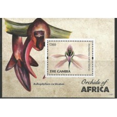 Gambia - Orquideas da África Gambia - Orquideas da África