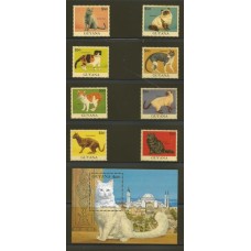 Guyana - Gatos