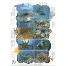 Holanda - Fauna Marinha de Bonaires