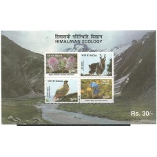 India - Ecologia do Himalaya Fauna e Flora