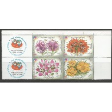 Iran - Flores Iran - Flores