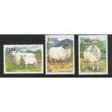 Irlanda - Fauna/Carneiros