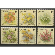 Jersey - 1132/7 - Flores de Inverno