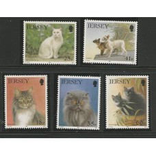 Jersey - 0639/43 - Gatos