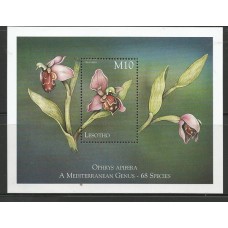 Lesotho - Orquidea Lesotho - Orquidea