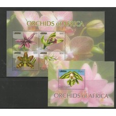 Liberia - Orquídeas da África Liberia - Orquídeas da África