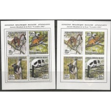 Madagascar - Macacos