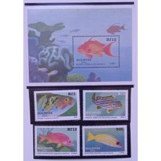 Maldives - Peixes(FAU-MLD133)