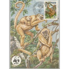 Max-102 - Macaco Muriqui com filhote Max-102 - Macaco Muriqui com filhote