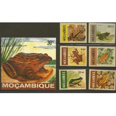 Moçambique - Sapos