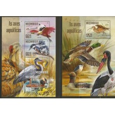 Moçambique - Aves Aquáticas