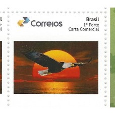 C-3386 - Personalizado básico Águia Horizontal
