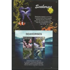 Grenada Carriacou & Petit Martinique - Cavalos Marinhos - Sea Horses