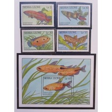 Sierra Leone - Peixes(FAU-SI047)