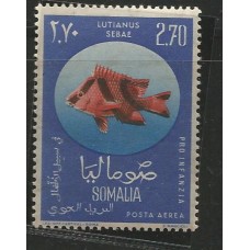 Somalia - Peixe