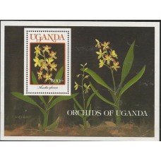 Uganda - Orquídea Uganda - Orquídea