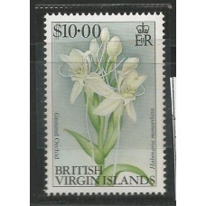 Virgin Islands-  Orquidea