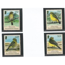 Ascension - Aves (FAU-AS03)