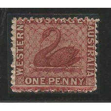 Australia Ocidental - 14 - Cisne Australia Ocidental - 14 - Cisne