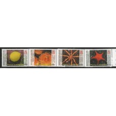 British Antartic Territory - 447/50 - Invertebrados Marinhos