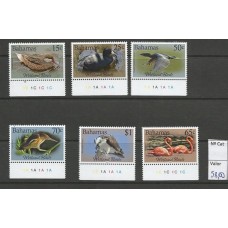 Bahamas - Aves/Wetland Birds(FAU-BAH04)