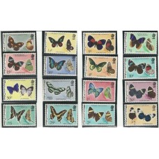 Belize - Borboletas(FAU-BL017)