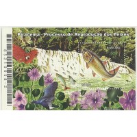 Bl-139 - Piracema Bl-139 - Piracema